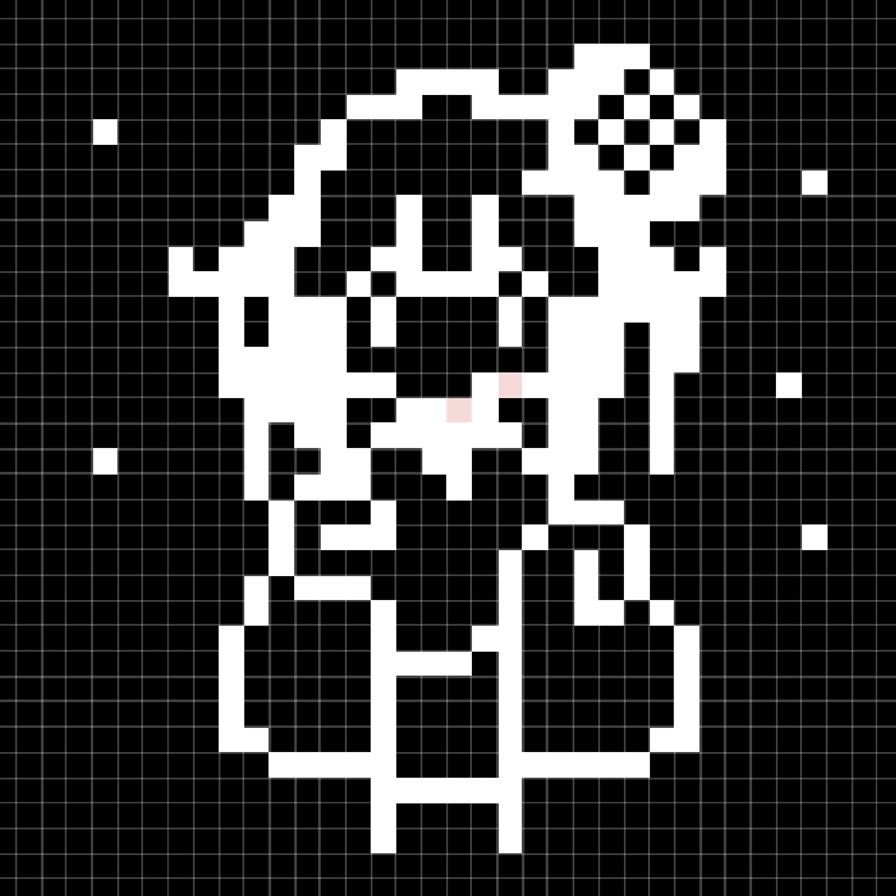 彩り海に映える